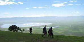 Die weiten Ebenen der Massai Mara auf - mama artemisia-3-Krater Wander-Safarivorschlag, Tarangire, Manyara, Serengeti, Ngorongoro Krater, Olmoti, Empakai, Lengai, TANSANIA