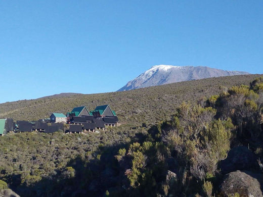 Gipfel des Kilimanjaro von der HOROMBO HÜTTE aus - mama artemisia Bergtrekking Vorschlag zur Besteigung des Kilimanjaro auf der Marangu-Route, KILIMANJARO, TANSANIA