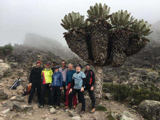 Gruppenbild auf der Machame-Route - mama artemisia Bergtrekking Vorschlag zur Besteigung des Kilimanjaro auf der Machame-Route, KILIMANJARO, TANSANIA